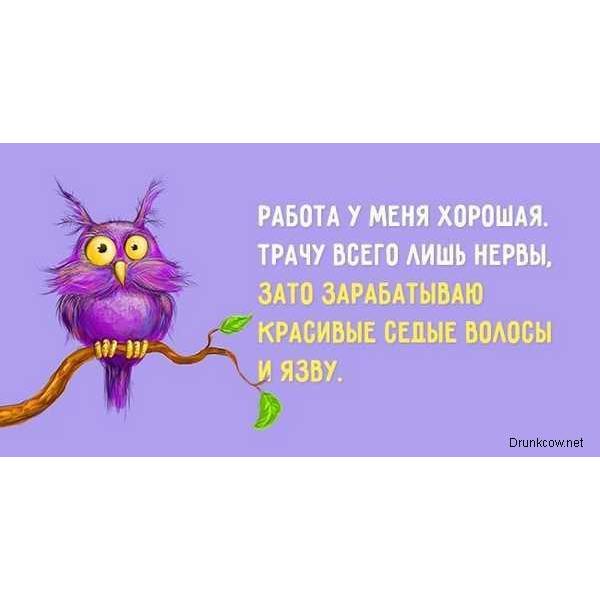 qa2