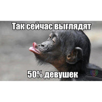 Product 247